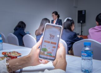 YesPls Application Training for Lao World Team